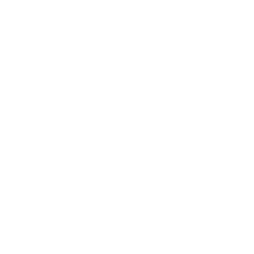 Revsmith